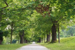 Schlosspark Blankenburg